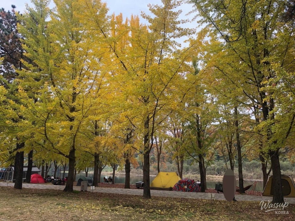Camping Near Cheongju: Three Unique Spots to Explore_01