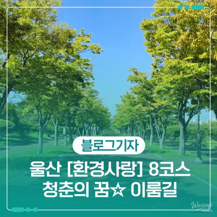 Exploring Ulsan's Environmental Love Trail: The Path of Youth Dreams