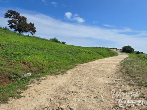 Exploring the Autumn Beauty of Ulsan's Sudo_03