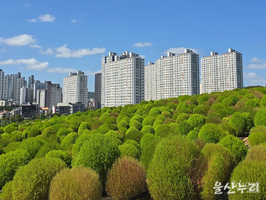 Exploring the Autumn Beauty of Ulsan's Sudo_06