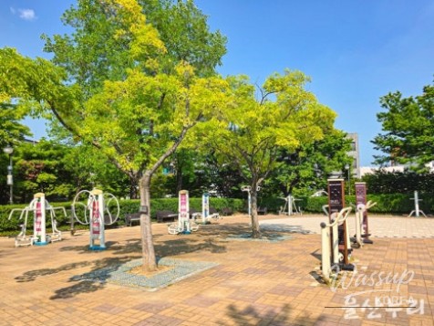 Exploring Ulsan Cultural Park: A Hidden Gem in the City_07