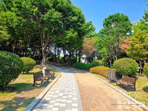 Exploring Ulsan Cultural Park: A Hidden Gem in the City_06