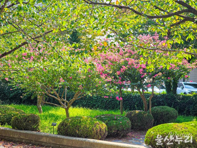 Exploring Ulsan Cultural Park: A Hidden Gem in the City_15