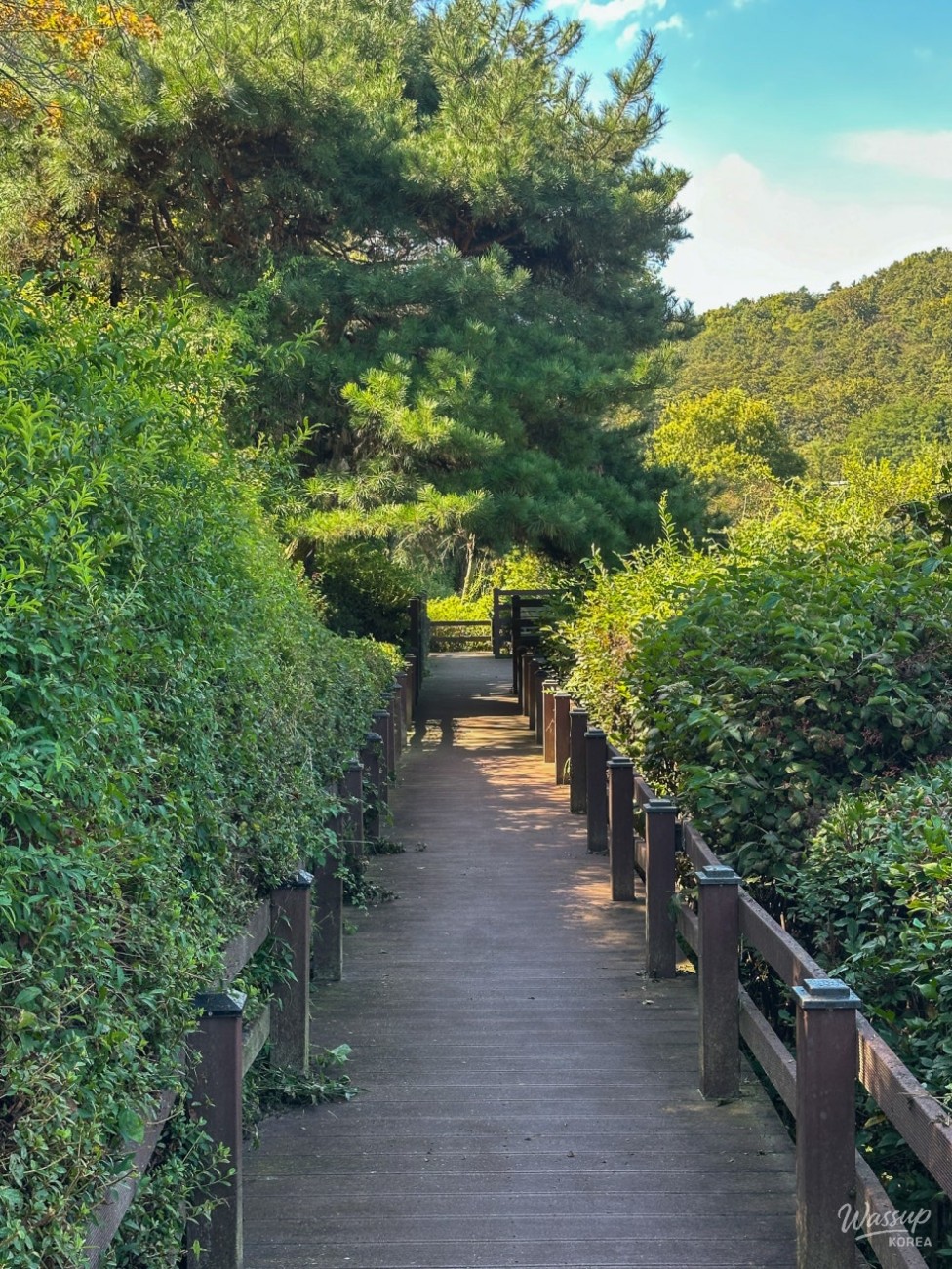 Exploring the Historical Nong Bridge in Jincheon_14