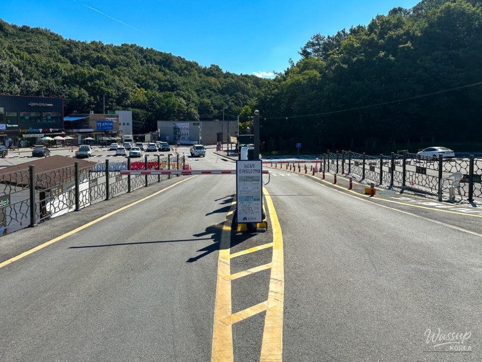 Exploring the Historical Nong Bridge in Jincheon_05