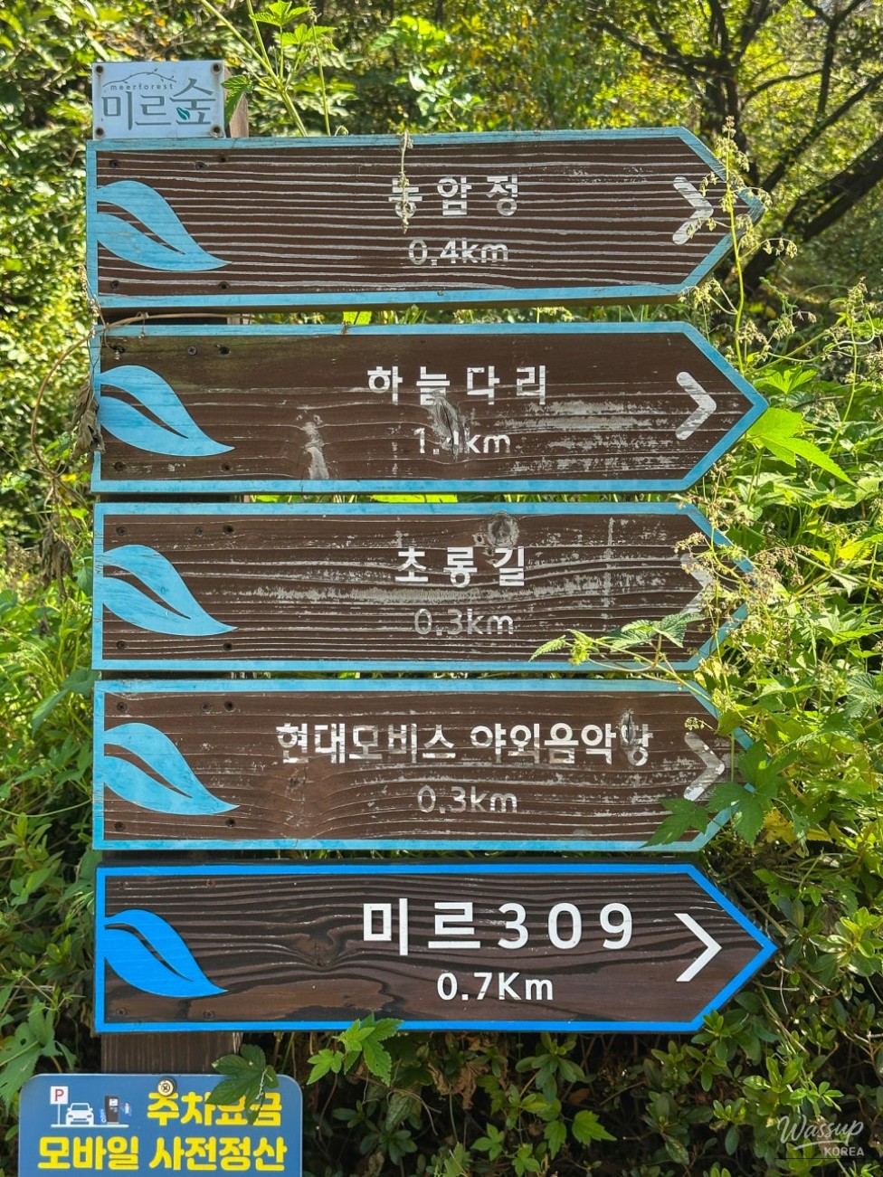 Exploring the Historical Nong Bridge in Jincheon_18