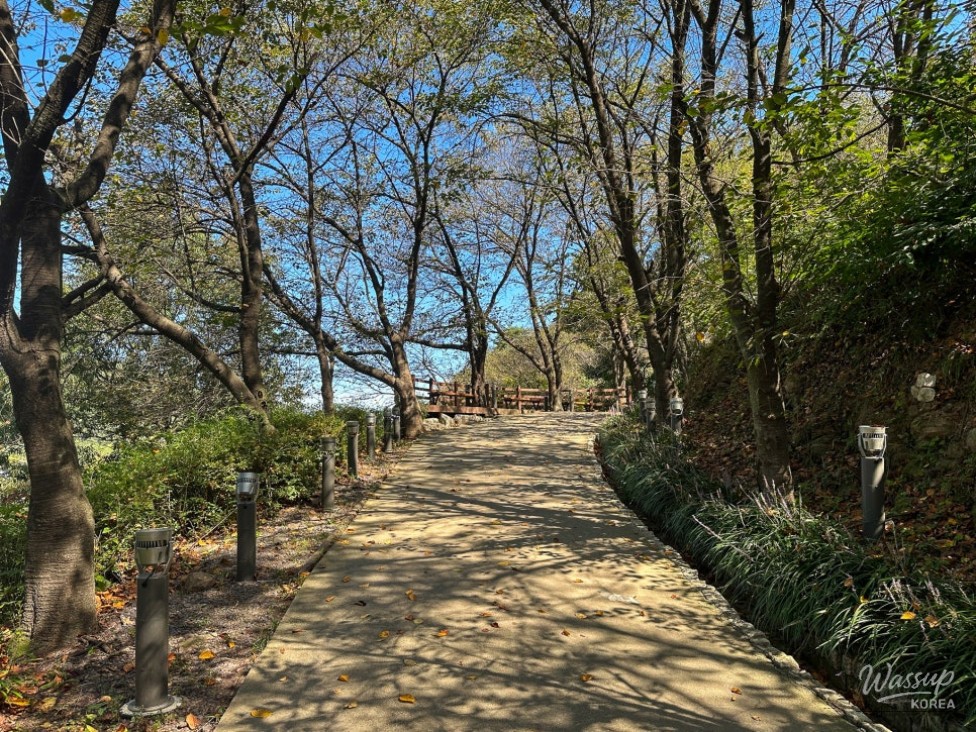 Exploring the Historical Nong Bridge in Jincheon_19
