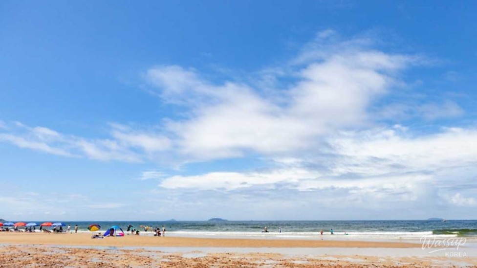 Exploring Kkotji Beach: A Serene Autumn Getaway_03