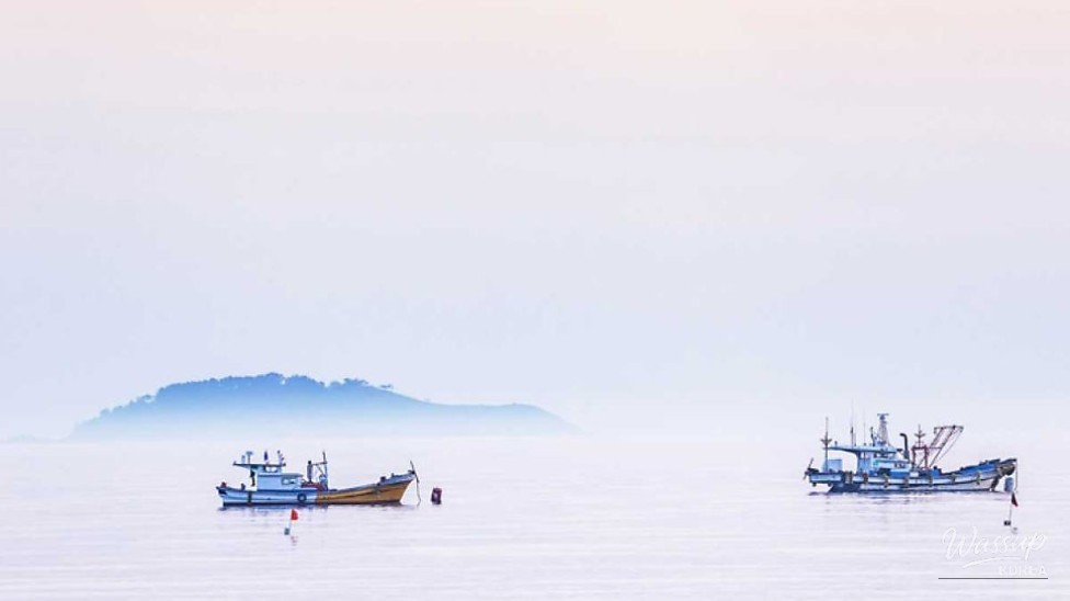 Exploring Kkotji Beach: A Serene Autumn Getaway_04