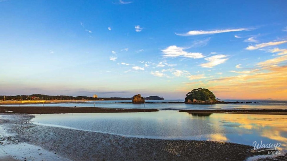 Exploring Kkotji Beach: A Serene Autumn Getaway_02