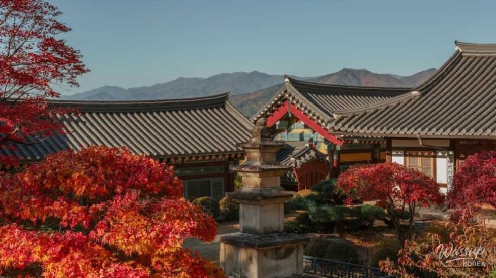 Discovering the Tranquility of Beoseoksa Temple in September_04