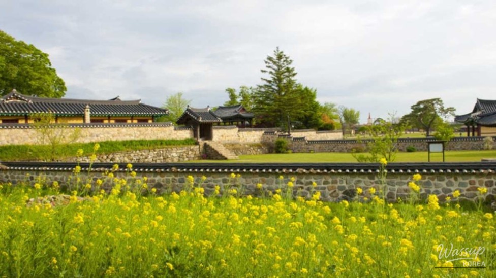 Exploring the Historic Haemi Eupseong: A Perfect Autumn Getaway_03