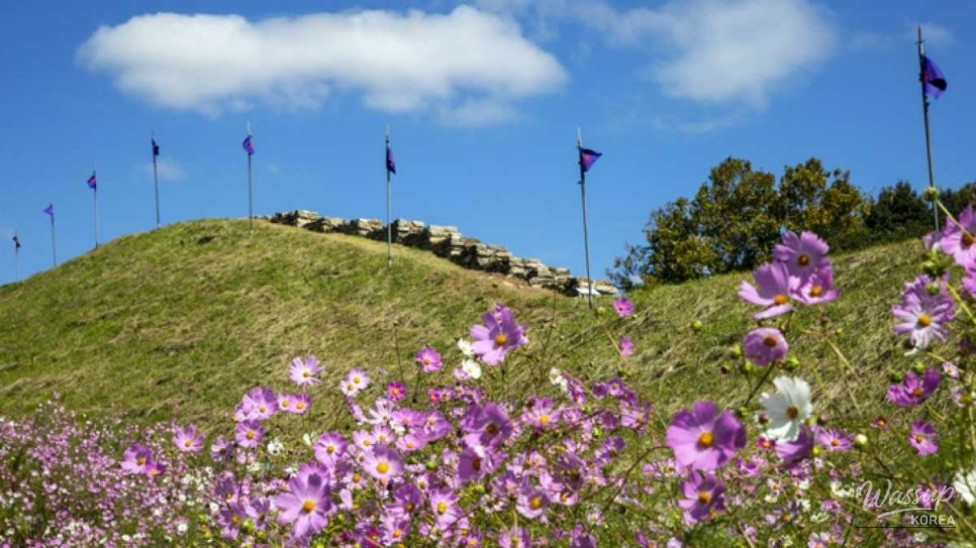 Exploring the Historic Haemi Eupseong: A Perfect Autumn Getaway_01