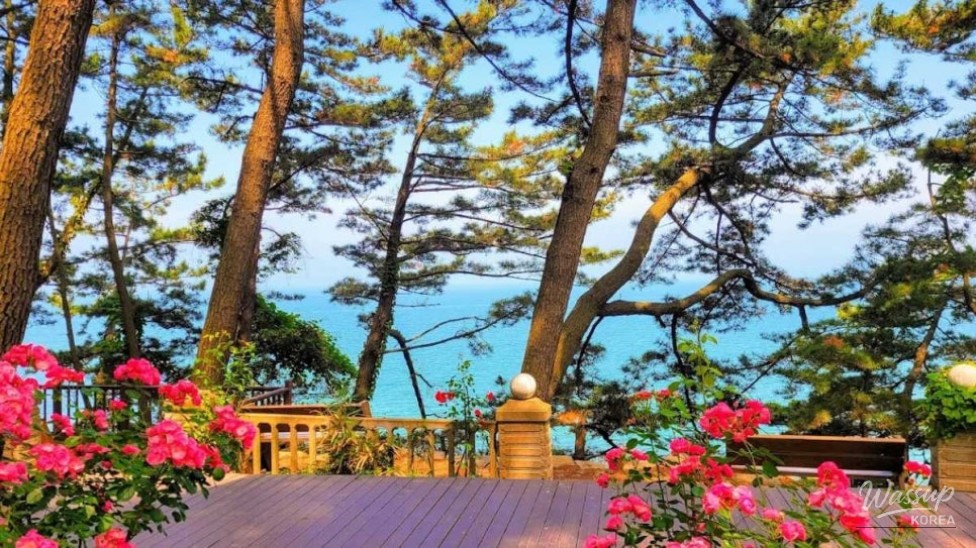 Exploring the Scenic Beauty of Sanghwayon on Jukdo Island_04
