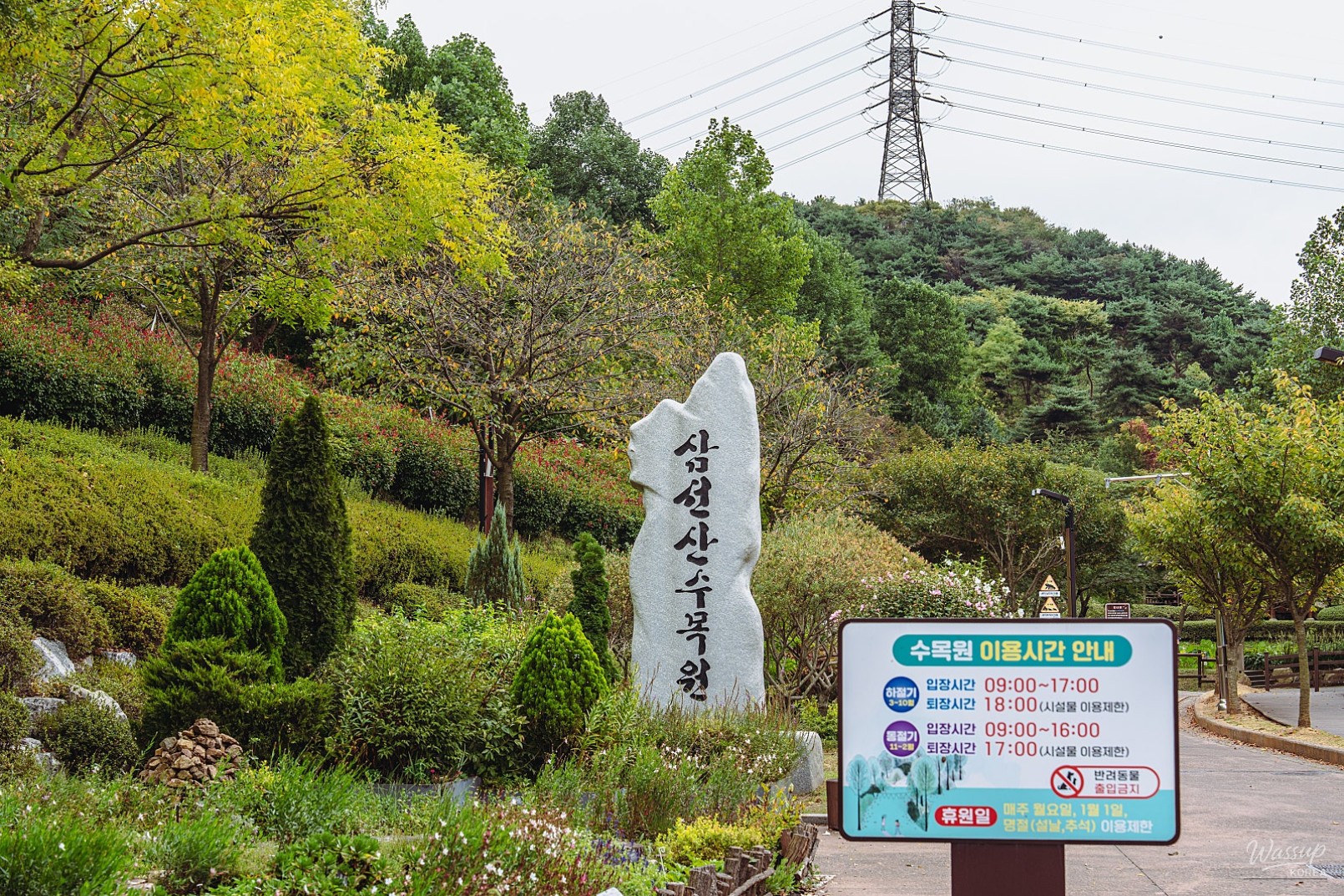 Discovering the Healing Path of Samsun Mountain Arboretum_01