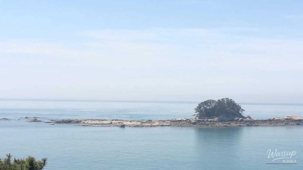 Discovering Dongbaekjeong: A Hidden Gem in September_03