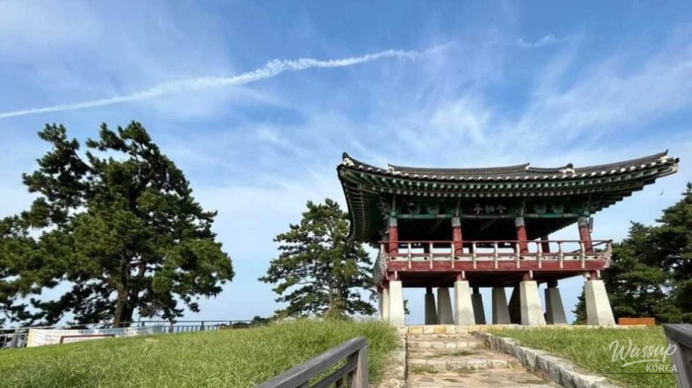 Discovering Dongbaekjeong: A Hidden Gem in September_02