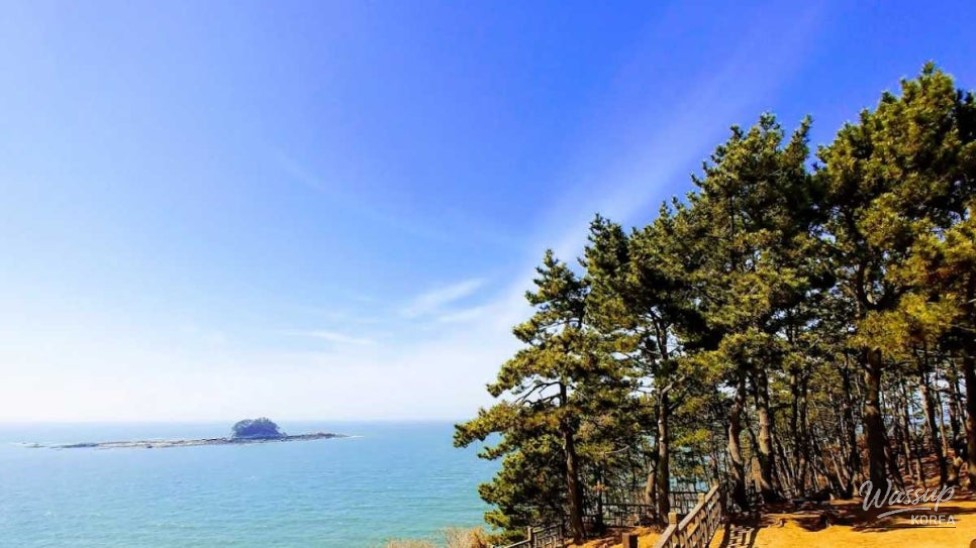 Discovering Dongbaekjeong: A Hidden Gem in September_01