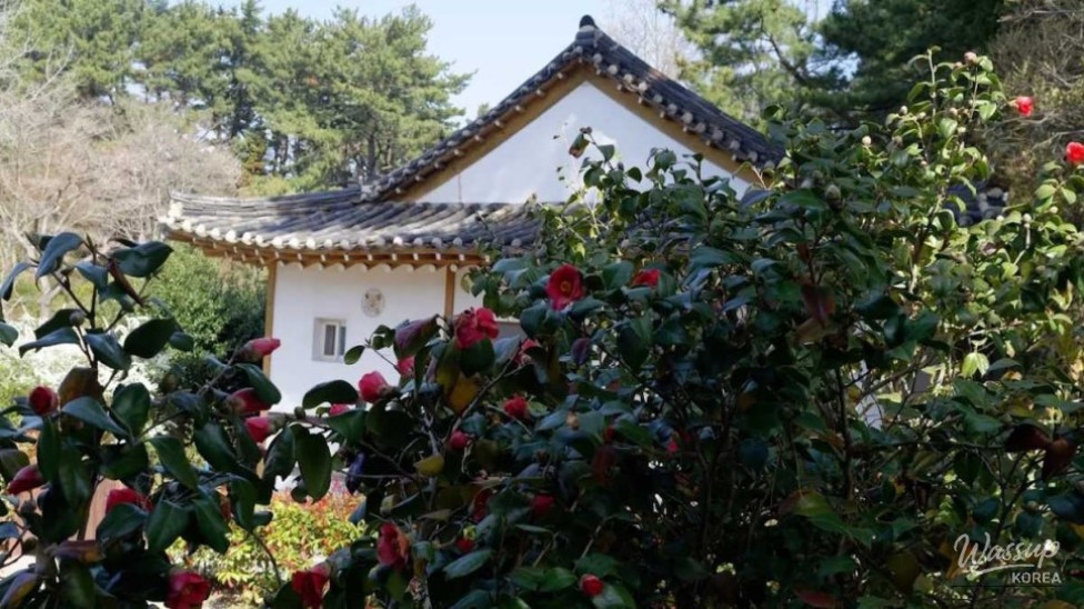 The Enchantment of Cheonripo Arboretum in September_03