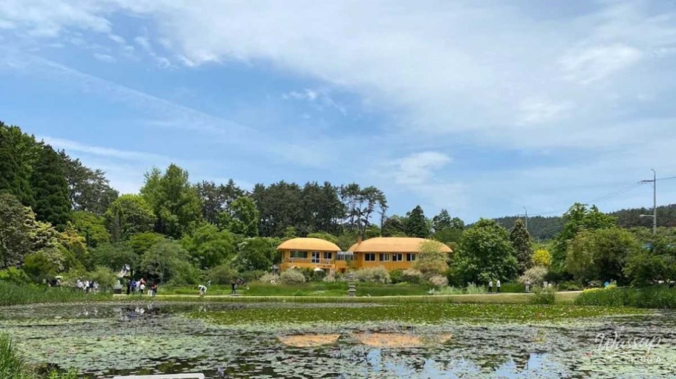 The Enchantment of Cheonripo Arboretum in September_02