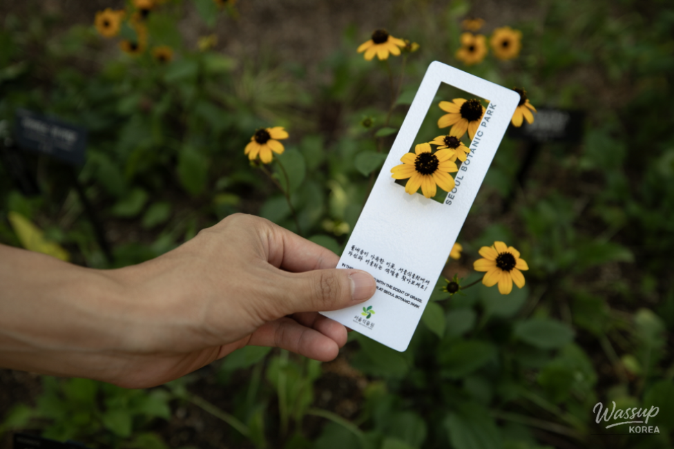Discover Colors at the Seoul Botanical Garden_07
