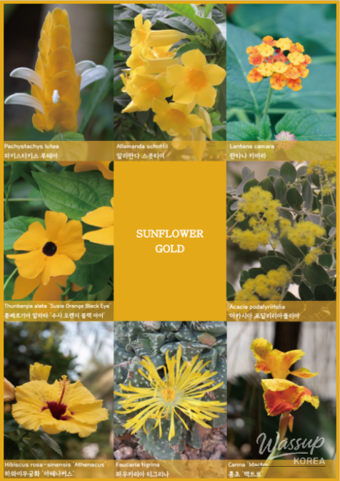 Discover Colors at the Seoul Botanical Garden_06