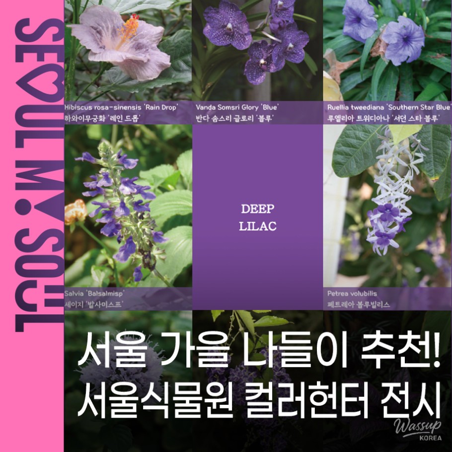 Discover Colors at the Seoul Botanical Garden_01