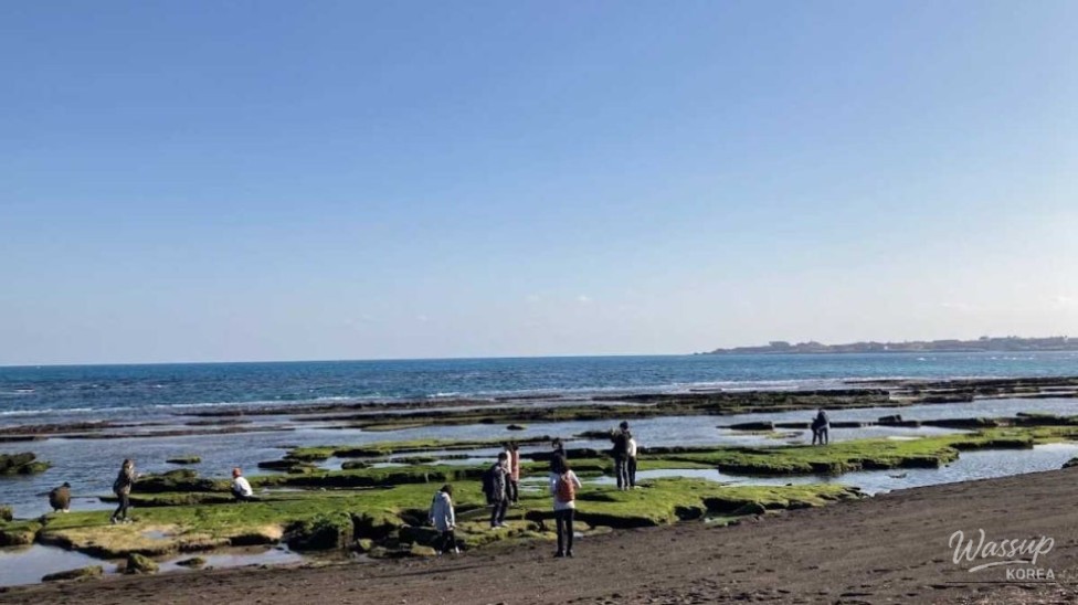 Explore the Beauty of Gwangchigi Beach in September_02