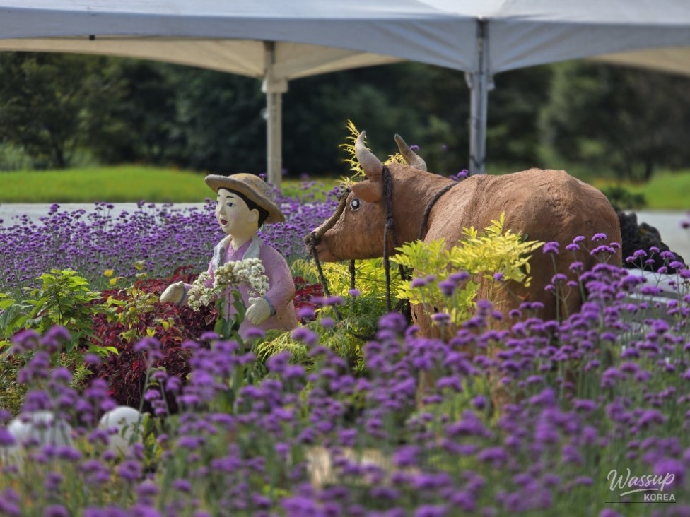 A Special Autumn at Cheongju's Future Agricultural Theme Park_04