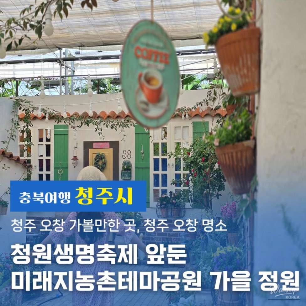 A Special Autumn at Cheongju's Future Agricultural Theme Park_01