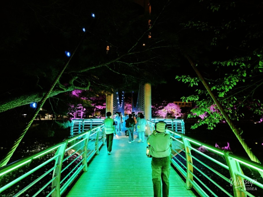 A Magical Autumn Night at Susungdae_13