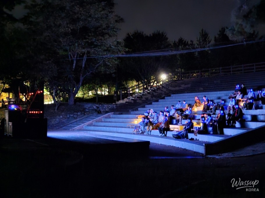 A Magical Autumn Night at Susungdae_05