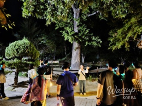 A Magical Autumn Night at Susungdae_14