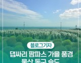 Exploring the Autumn Beauty of Ulsan's Sudo