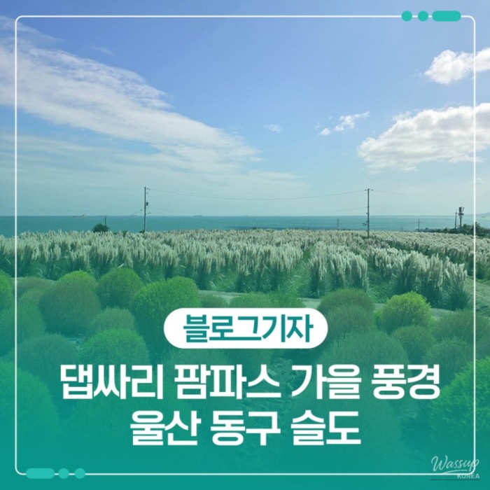 Exploring the Autumn Beauty of Ulsan's Sudo
