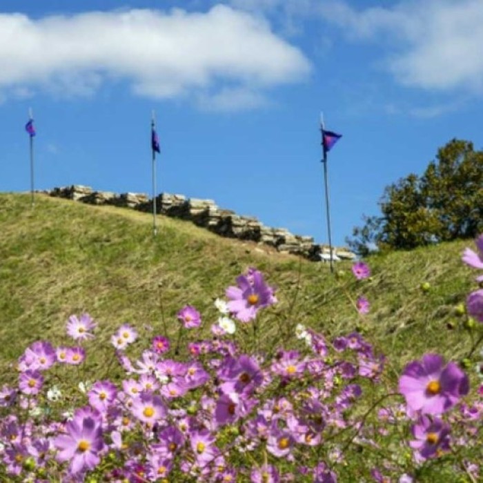 Exploring the Historic Haemi Eupseong: A Perfect Autumn Getaway