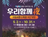 Exploring the National Sejong Arboretum: A Family-Friendly Destination