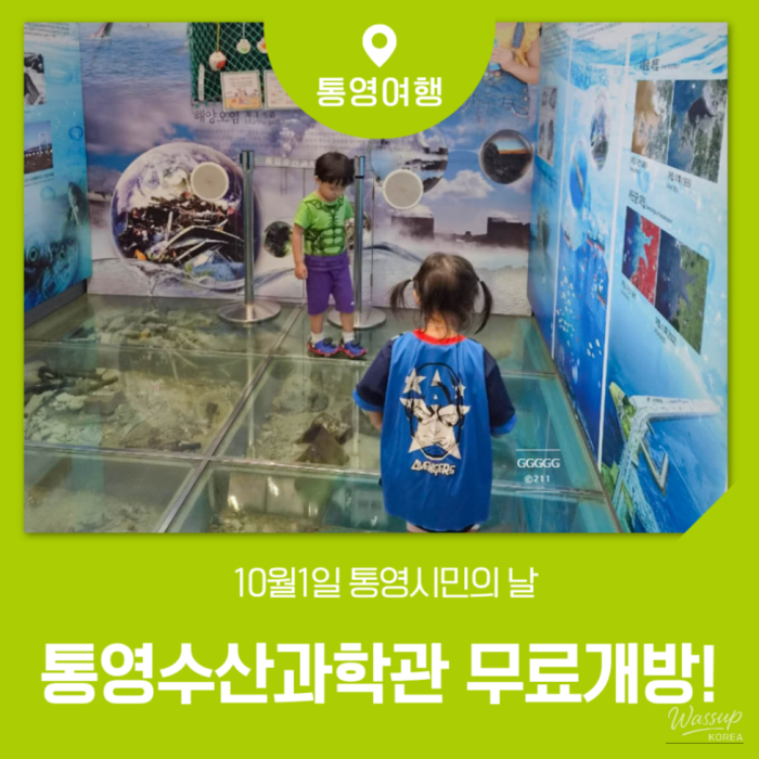 Explore Tongyeong: Free Admission to the Tongyeong Fisheries Science Museum on Citizen's Day!
