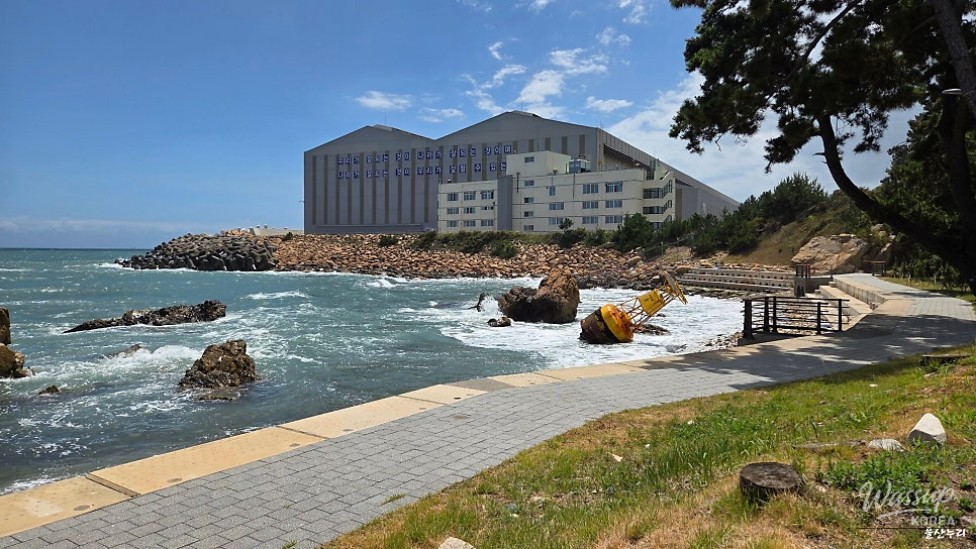 Exploring the Beauty of Jujeonbomit Port Picnic Area_11