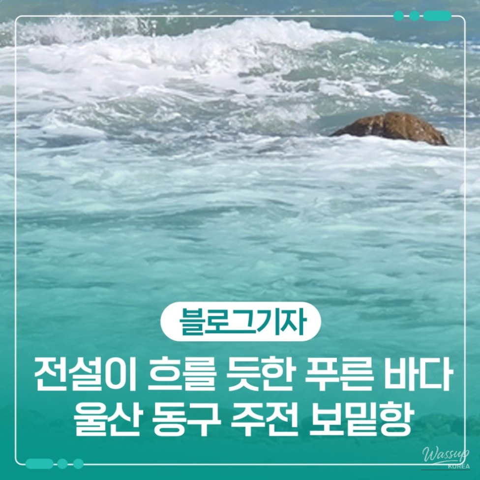 Exploring the Beauty of Jujeonbomit Port Picnic Area_01