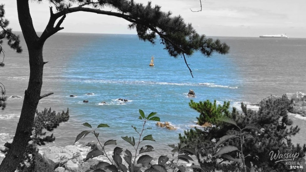 Exploring the Beauty of Jujeonbomit Port Picnic Area_13