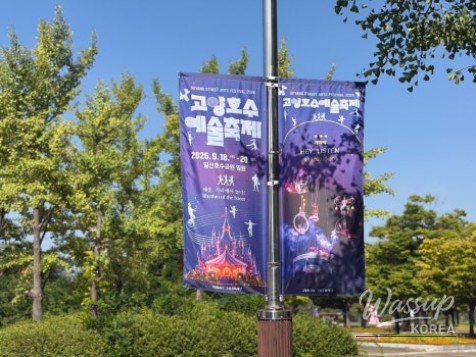 2026 Goyang Lake Art Festival: A Night of Fireworks and Performance_03
