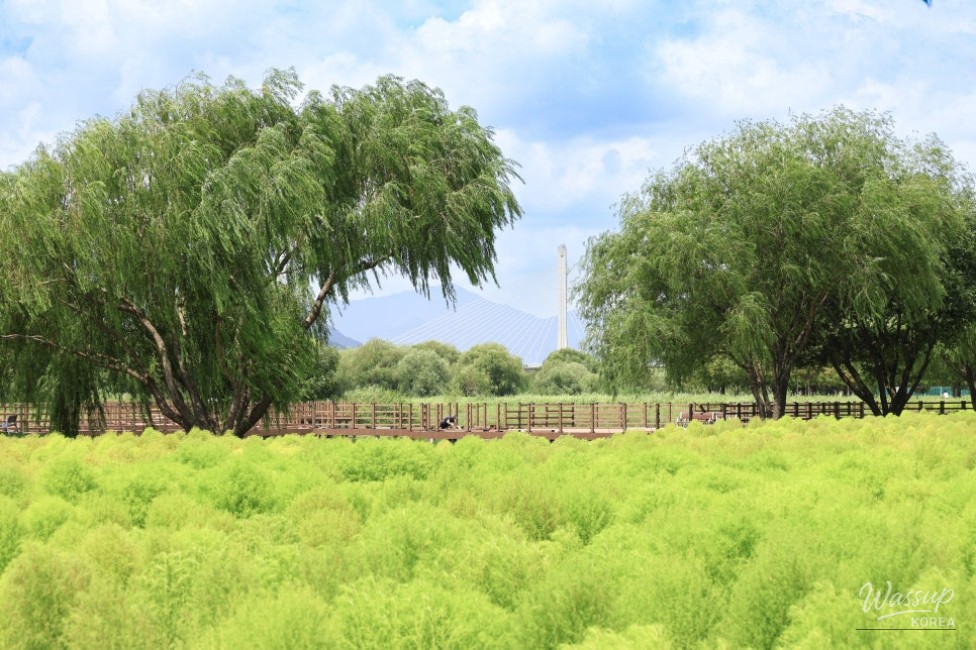 Autumn Outing in Busan: Discovering Hwamyung Eco Park_03