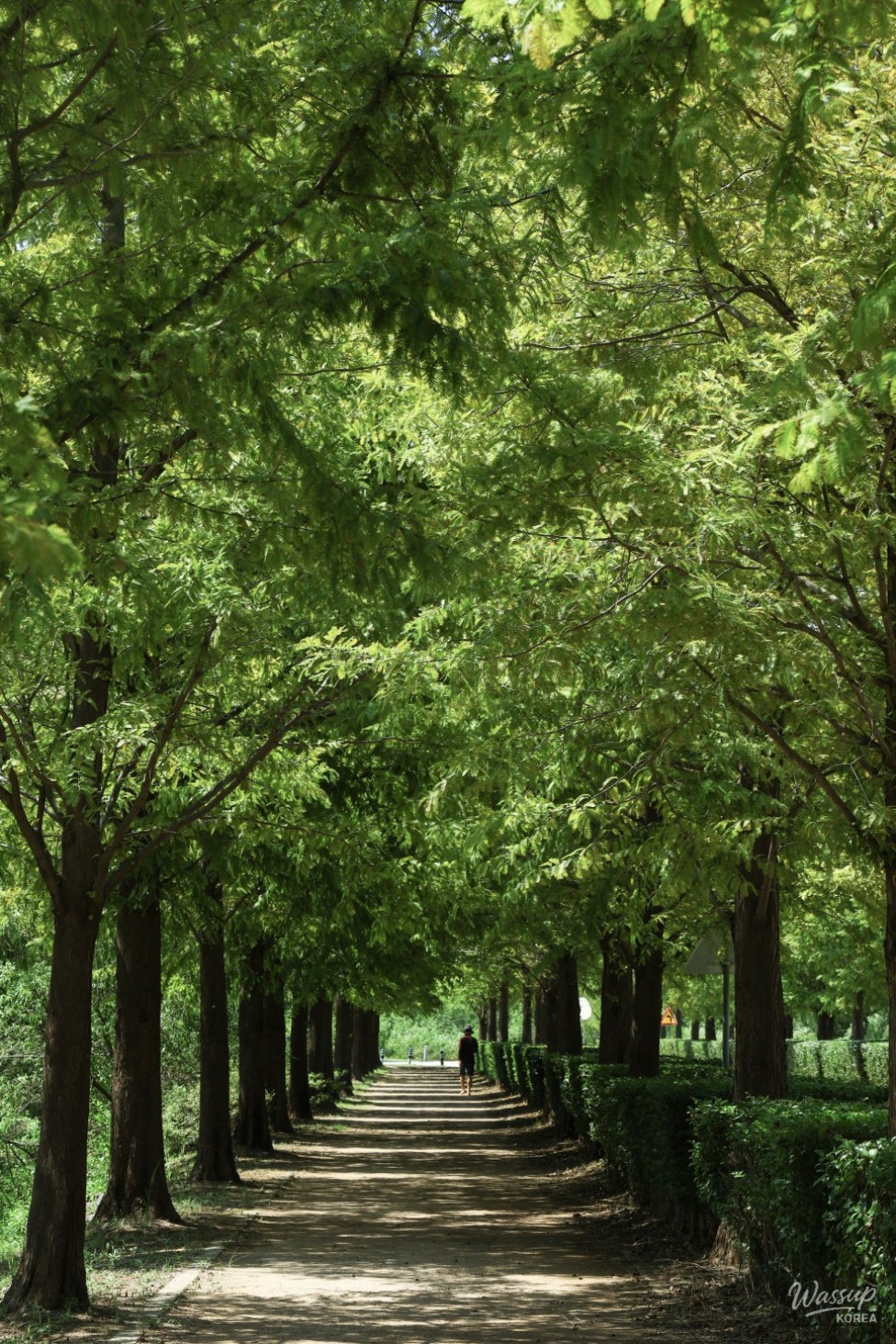 Autumn Outing in Busan: Discovering Hwamyung Eco Park_08