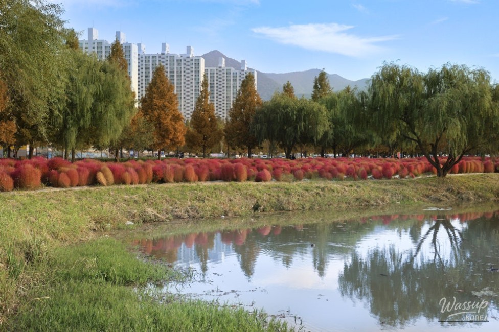Autumn Outing in Busan: Discovering Hwamyung Eco Park_07