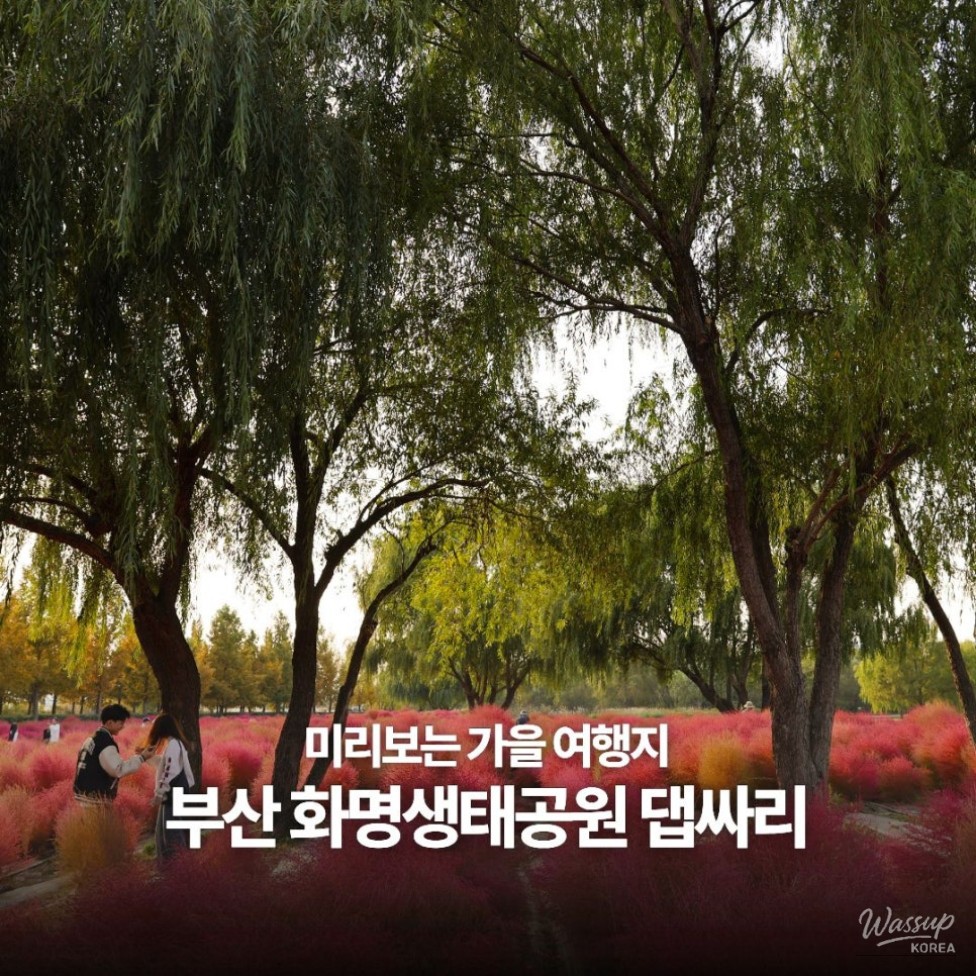 Autumn Outing in Busan: Discovering Hwamyung Eco Park_01