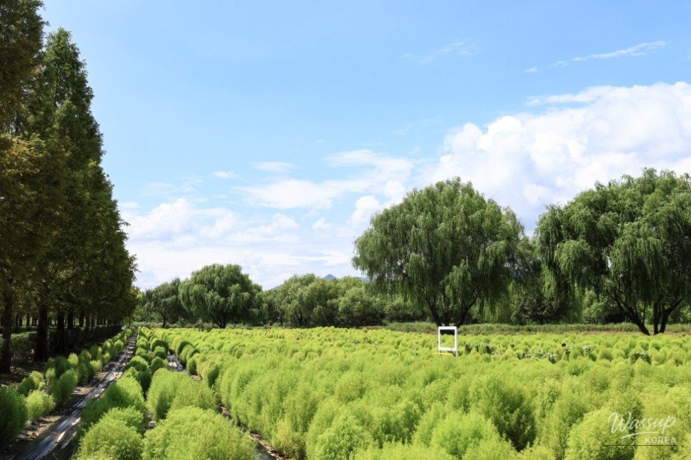 Autumn Outing in Busan: Discovering Hwamyung Eco Park_02