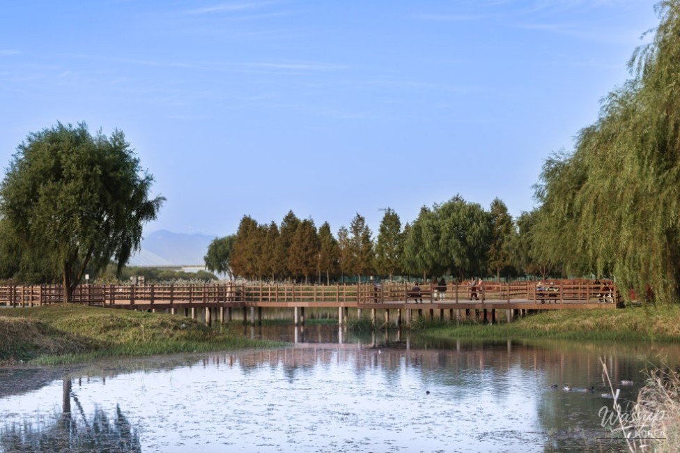 Autumn Outing in Busan: Discovering Hwamyung Eco Park_11
