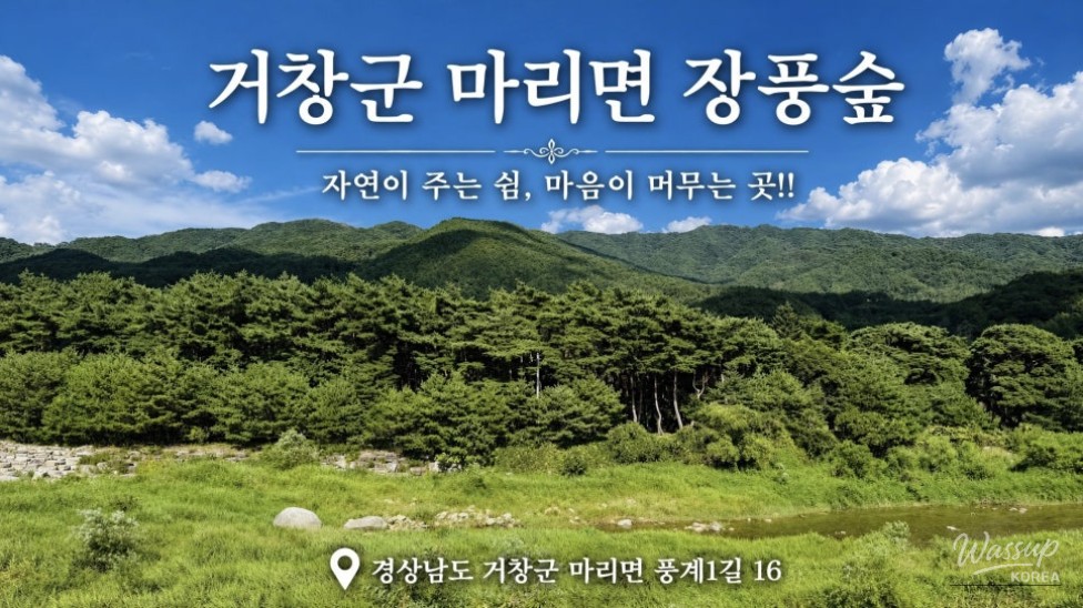 Discover the Hidden Gem of Jangpung Forest in Geochang_01