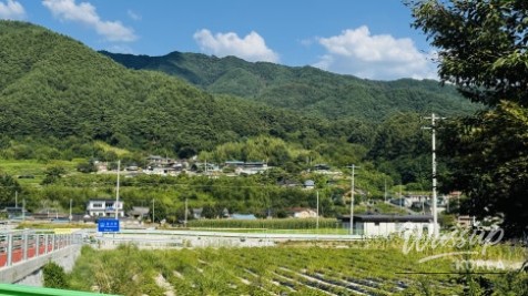 Discover the Hidden Gem of Jangpung Forest in Geochang_04